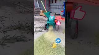 The process of pulverizing bamboo in small pulverizer [upl. by Aloz]