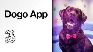 Dogo App  Dog Training made easy  Discovery with Three [upl. by Bedwell56]