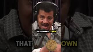 Why Science Disappeared in Islamic World w Neil deGrasse Tyson [upl. by Ahserak]