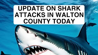 UPDATE ON 30A FLORIDA SHARK ATTACKS 6724 [upl. by Shepp]