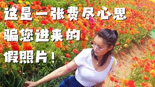 罐罐的第二个十八岁 清境农场 直播聊天 [upl. by Atterol]