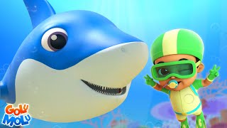 Baby Shark Song बेबी शार्क गाना  Popular Hindi Cartoon Poems and Rhymes for Kids [upl. by Dearborn]