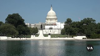 Handful of races across US to decide control of Senate [upl. by Onitsuj440]