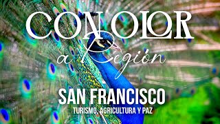 Con Olor a Región  San Francisco agricultura turismo y paz [upl. by Norrag884]