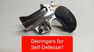 Are Derringers Good For SelfDefense [upl. by Liborio103]