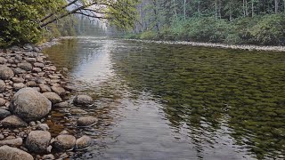 Painting a Realistic River With Acrylic Time Lapse 90 [upl. by Hernando]