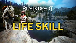 BDO Pazar Life Skilli  Black Desert Online Schrutify [upl. by Koller]