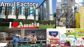 Amul Factory Anand Gujarat Tour  How Amul Butter Is Manufacturing In Factory [upl. by Blondy]