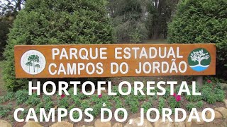 PARQUE ESTADUAL EM CAMPOS DO JORDAO 2024 [upl. by Carlyle]