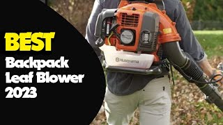 Best Backpack Leaf Blowers for Tidy Outdoor Spaces 2023 [upl. by Giesser]