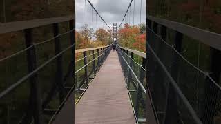 118foottall SkyBridge Michigan at Boyne Mountain Resort [upl. by Esirehs785]