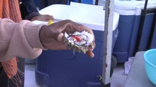 First Time Raw Oyster Eater [upl. by Ria]