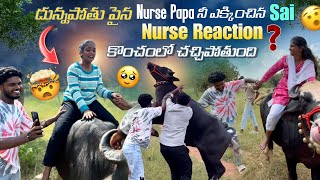 దున్నపోతు పైన Nurse Papa నీ ఎక్కించిన Sai Nurse Reaction కొంచంలో చచ్చిపోతుంది  saikiranyadav [upl. by Adnorrehs]