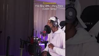 Fireboy DML  Peru Cover Song [upl. by Anitselec55]