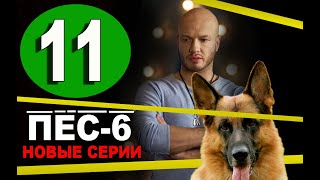 ПЕС 6 СЕЗОН  11 серия  ВСЕ СЕРИИ ПОДРЯД Дата выхода анонс [upl. by Fotinas78]