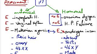 Assessment And Summary Of Amenorrhea OBGYN Made Easy [upl. by Herv]