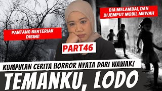 TEMANKU LODO  KISAH HORROR WAWAK PART 46 [upl. by Atem588]