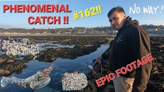 PHENOMENAL CATCH  EPIC 2 DAY FORAGE  fishing viral [upl. by Nabala]