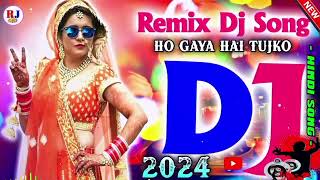 hindi song dj new hindi song remix 2024 Rj Life RemixAll Time Hits Dj [upl. by Ittap]