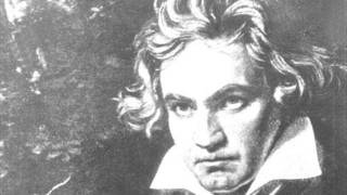 Ludwig van Beethoven  5 Sinfonie  Satz 1 [upl. by Hesler]