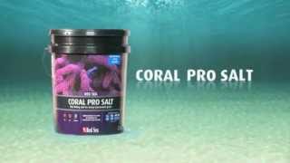 Red Sea Coral Pro Salt  How its made [upl. by Navoj]