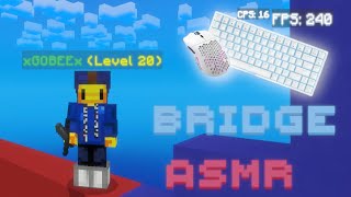 The Most RELAXING Hive Bridge Keyboard and Mouse ASMR [upl. by Vieva]