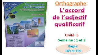 Orthographe laccord de ladjectif qualificatif [upl. by Yelnet]