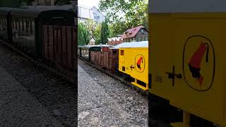 Zeugkreuzung V51 Öchsle und 2095 der ÖBB  3 Tage Fahrtag auf der Esslinger Gartenbahn [upl. by O'Kelly417]