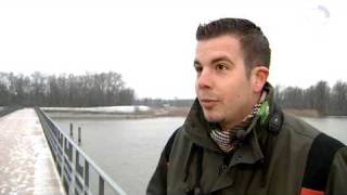 Biesbosch telt record aantal zilverreigers [upl. by Sivrep]