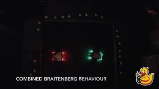 Braitenberg Behaviour on Duckiebots [upl. by Xenos]