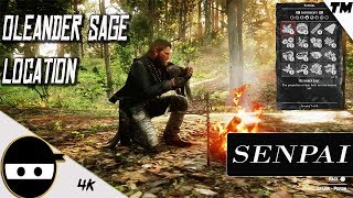 Red Dead Redemption  Oleander sage  Location Found  Fast Easy Way to Farm [upl. by Naggem748]