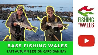 Bass Fishing Wales  Lure Spin and fly fishing Cardigan Bay  Late Autumn UK Sea Bass [upl. by Aryt]