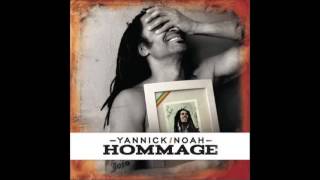 Yannick Noah  Hommage  Could You Be Loved [upl. by Ettelracs]