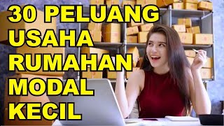 30 PELUANG USAHA RUMAHAN DENGAN MODAL KECIL [upl. by Teemus]