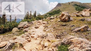 Colorado Rocky Mountains Continental Divide Virtual Run  Walking Tour on Stanley Mountain Trail [upl. by Ariaes648]