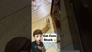 OMG Cat Head In Glass  Rescue Drama 😱 [upl. by Nathaniel]