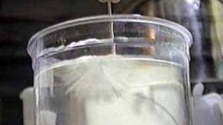 Sodium Sulfate Anhydrous Crystal Growing [upl. by Meredi]