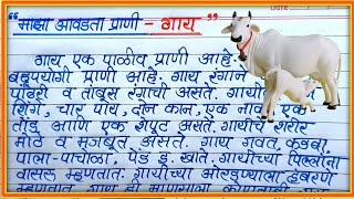 माझा आवडता प्राणी गाय निबंध मराठीगाय मराठी निबंधmaaza aavdta prani gay marathi nibandh [upl. by Ornas]