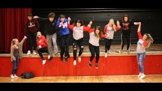 BE WILD  Tinley Park High School Class of 2018 SENIOR VIDEO [upl. by Ravel633]