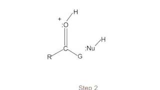 Mechanism acidcatalyzed nucleophilic addition to CO [upl. by Nazler]