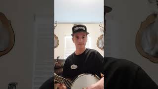 100 vs 800 vs 3000 banjo comparison banjo comparison music [upl. by Enyal603]