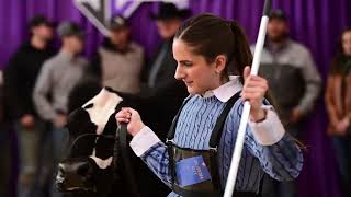 Cattlemens Congress 2023  Steer Show Highlight [upl. by Eikcaj]