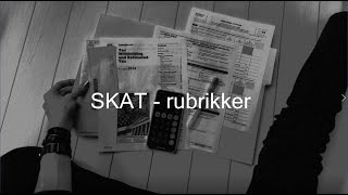 Grundkursus i kunstnerøkonomi 11  skat  rubrikker [upl. by Iderf80]