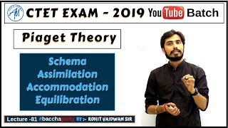 Piaget Theory Schema Assimilation AccommodationEquilibration  CDP CTET 2019 [upl. by Maleki855]