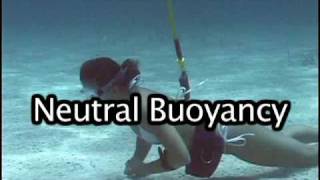 Neutral Buoyancy tips 2 [upl. by Amhsirak24]