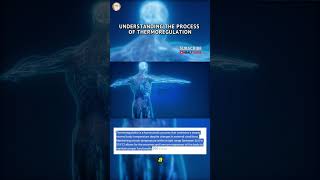 Understanding The Process of Thermoregulation [upl. by Hairu]