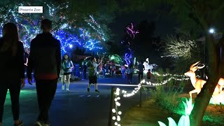 ZooLights Here’s what’s new at this year’s Phoenix Zoo holiday tradition [upl. by Leiser]