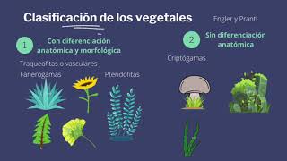 Sistemática y Taxonomía Vegetal [upl. by Bopp]