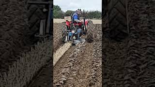 Massey Ferguson 35 Tractor with Ransomes Plough at the Hallaton Ploughing Match 2024 [upl. by Katerine]