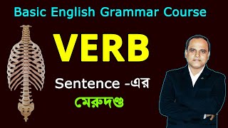 All Types of VERB in English Grammar  Auxiliary Main Finite Verbs [upl. by Yecak]